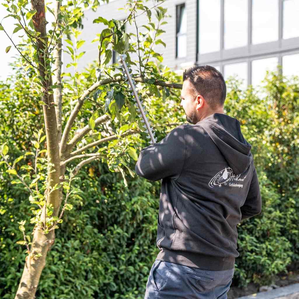 Hausmeister beim Hecken schneiden im Garten.